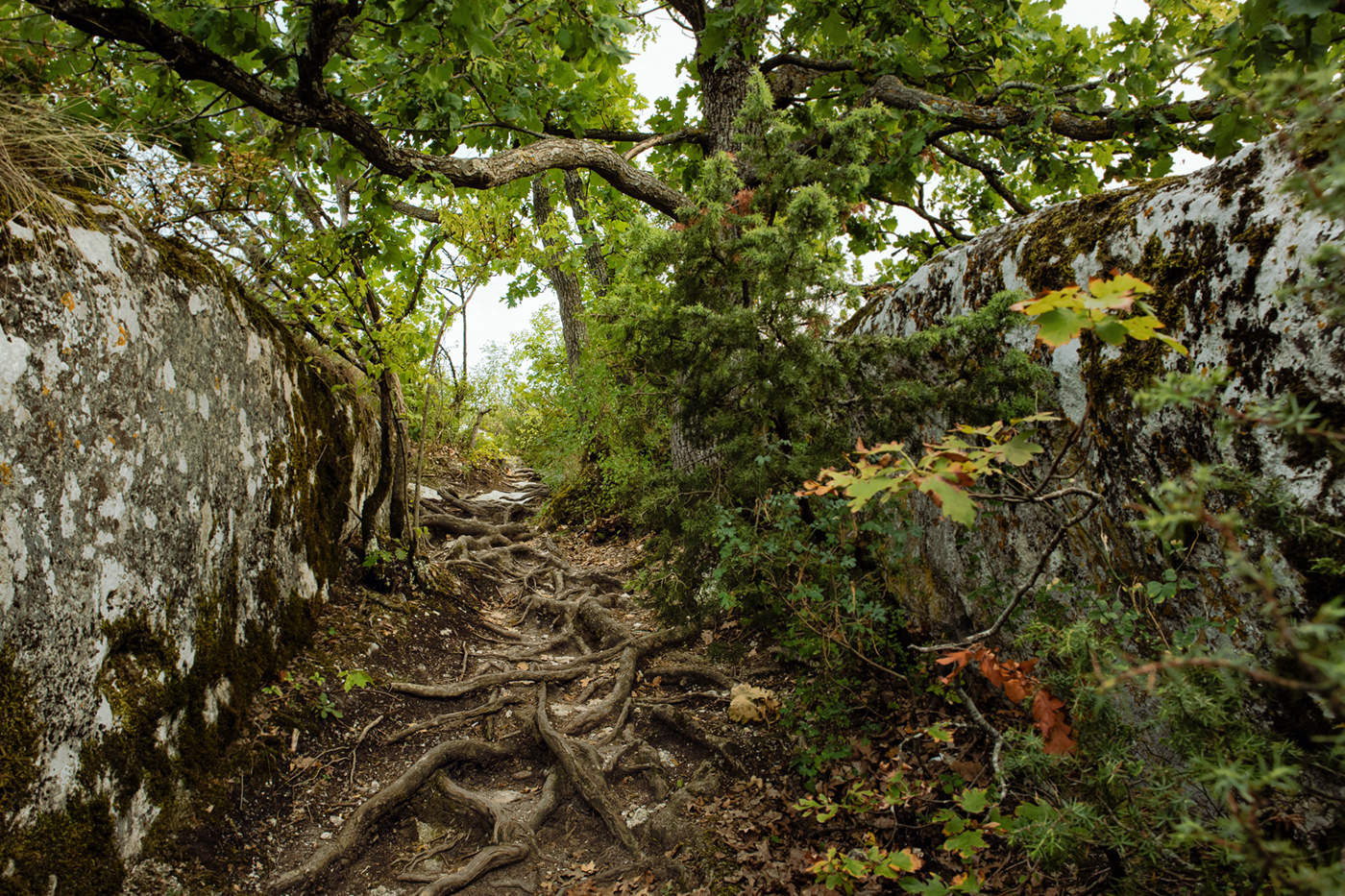 Ein Naturschutzwegen.