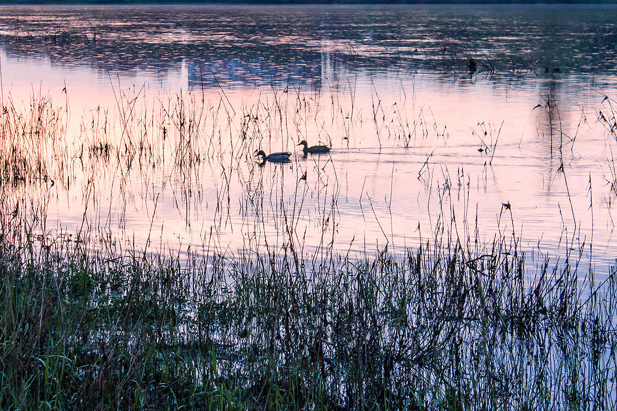In der Sonnenuntergangs