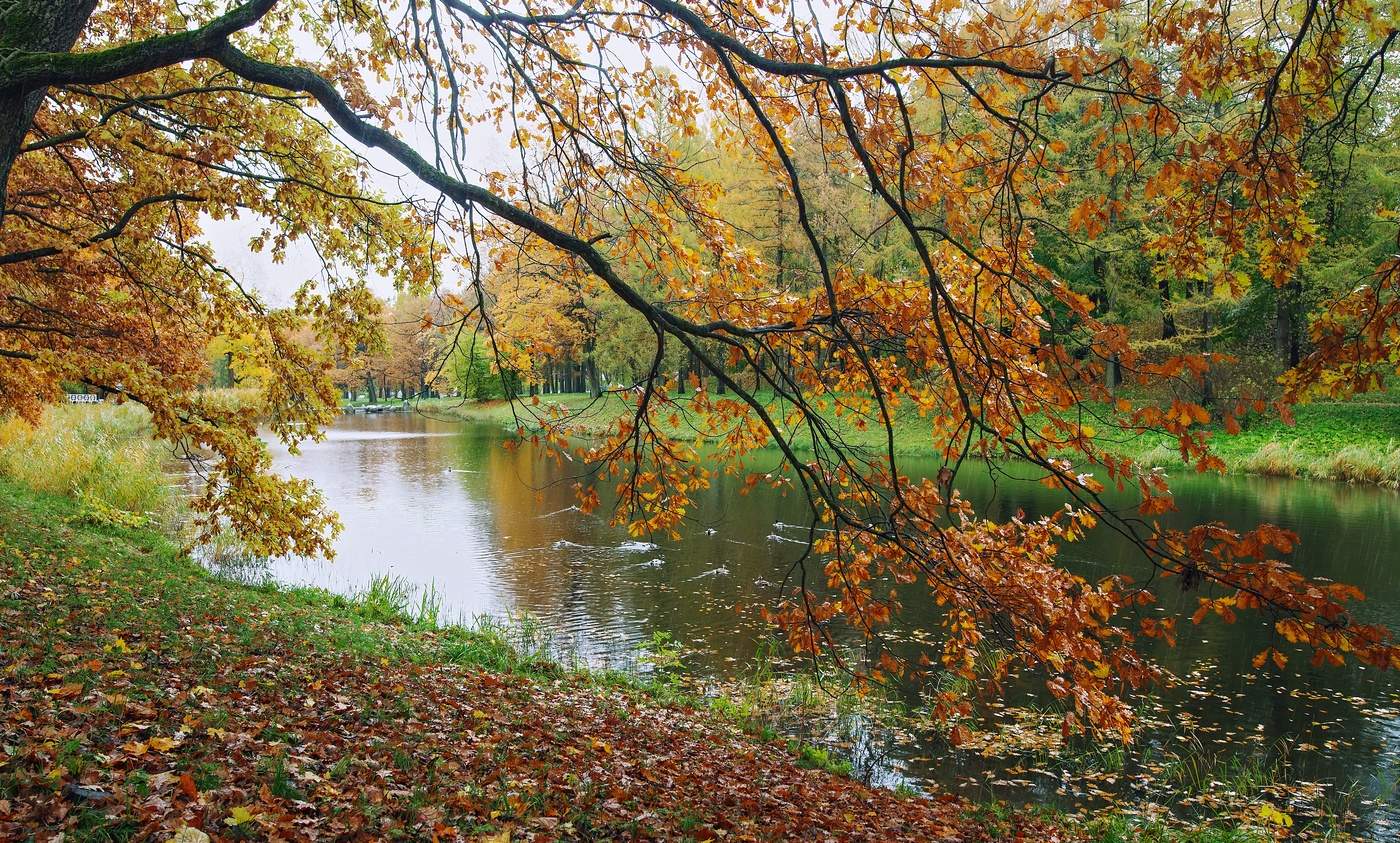 Überwiegend bewölkt.