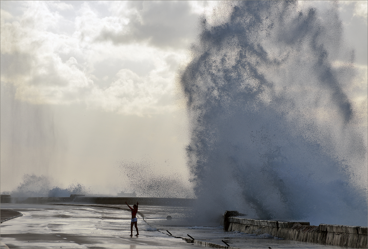 Die Freude des Lebens