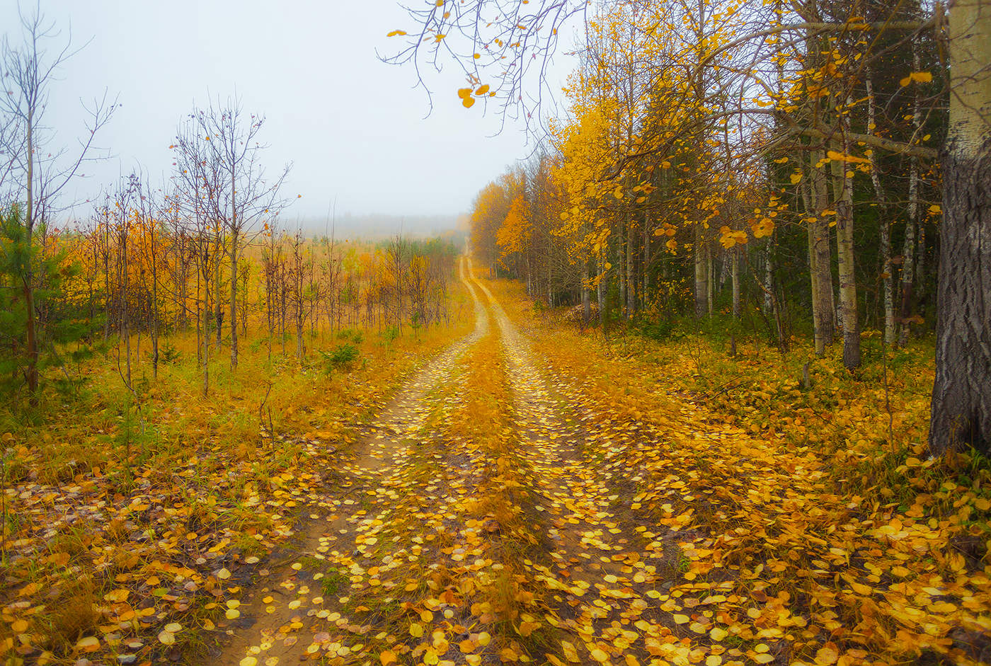 An der Schwelle zum Herbst