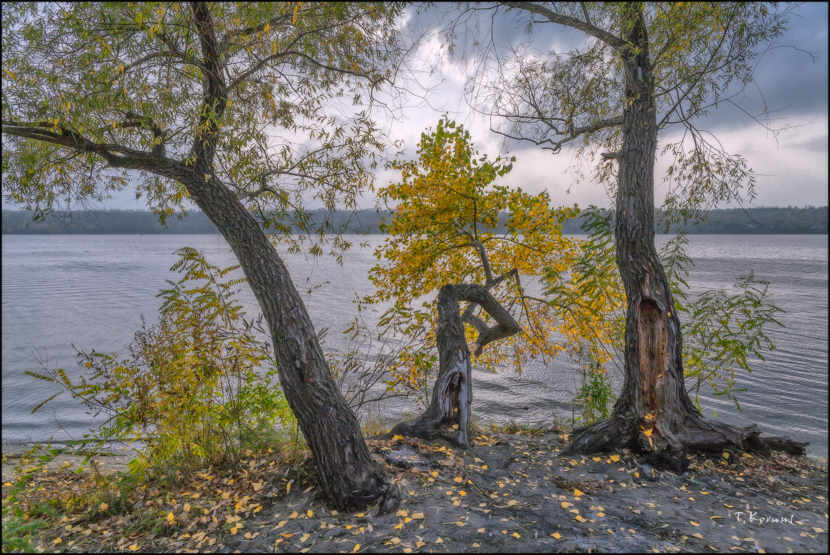 Welken der Natur ...