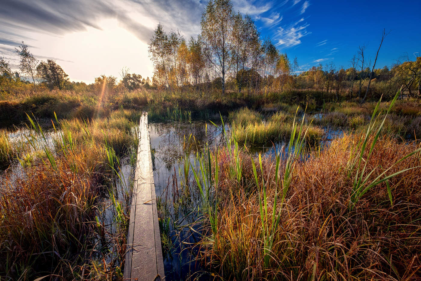 Auf der anderen Seite