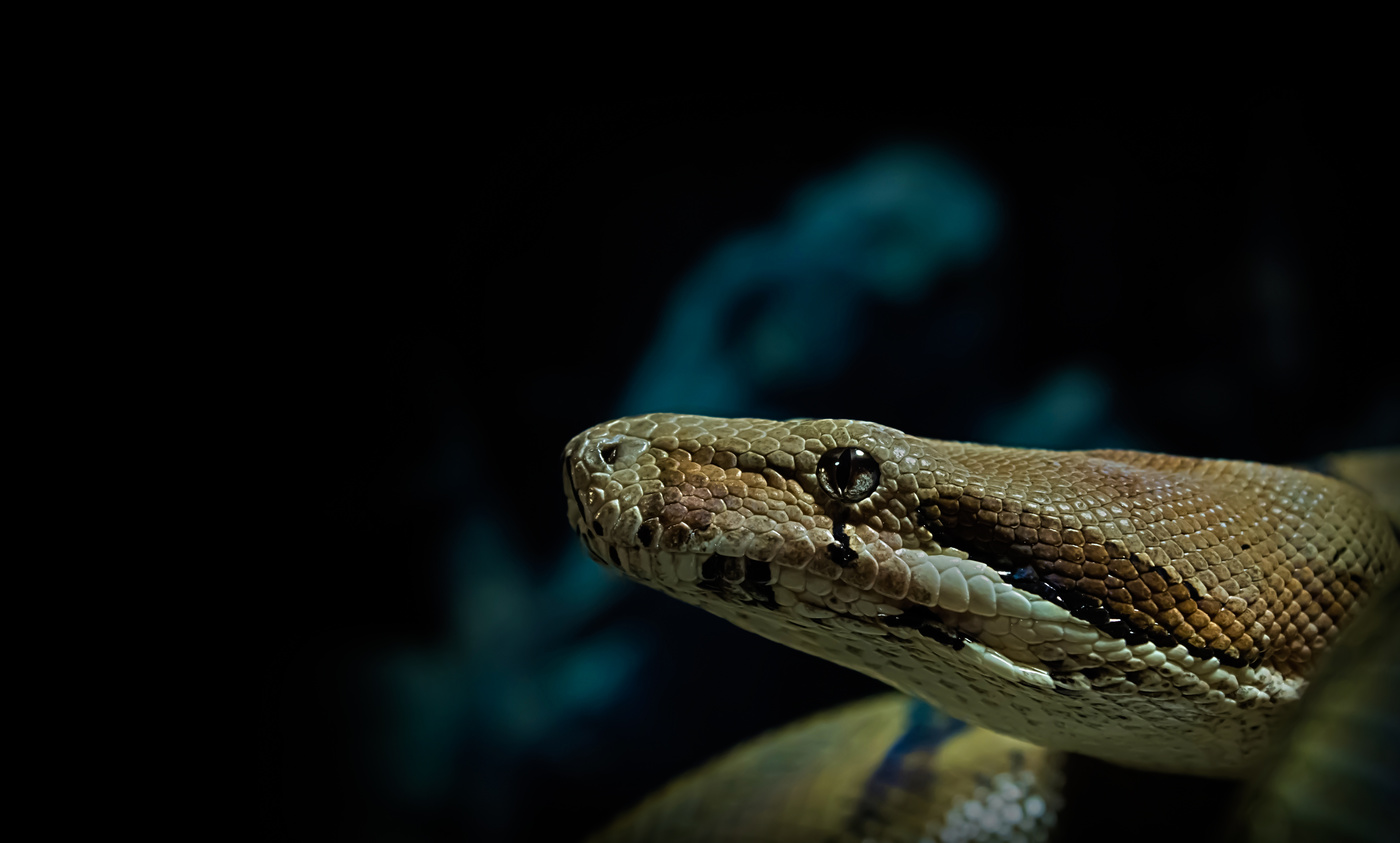 allein in der Dunkelheit