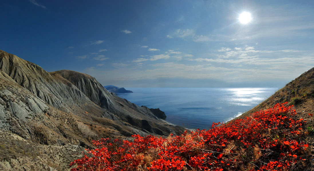 Herbst Putz Cimmeria