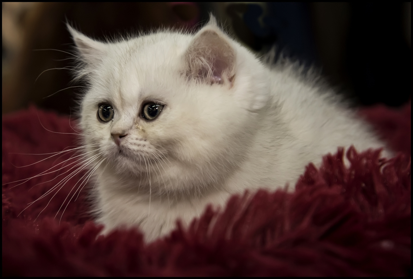 Das Leben ist schön