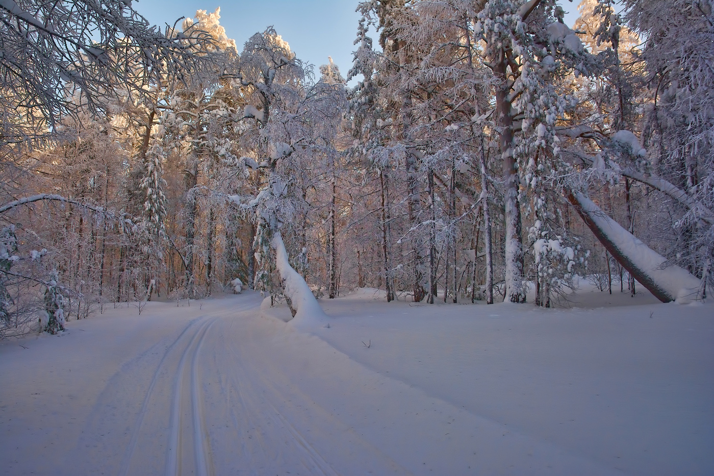 Läuft weg in die Ferne