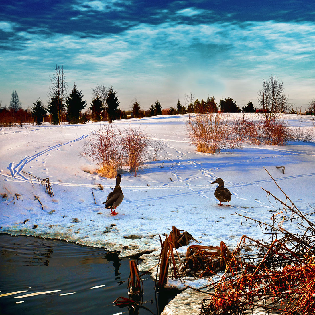 Ein unerwarteter Winter