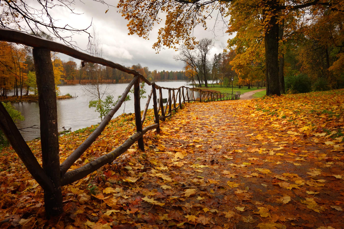 Erinnerungen des Herbstes