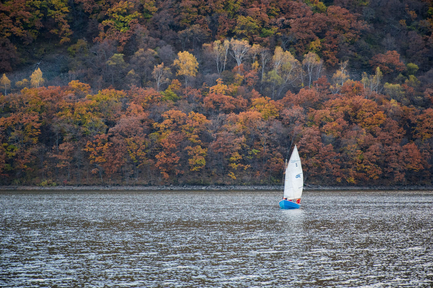 Gegen den Herbst ...