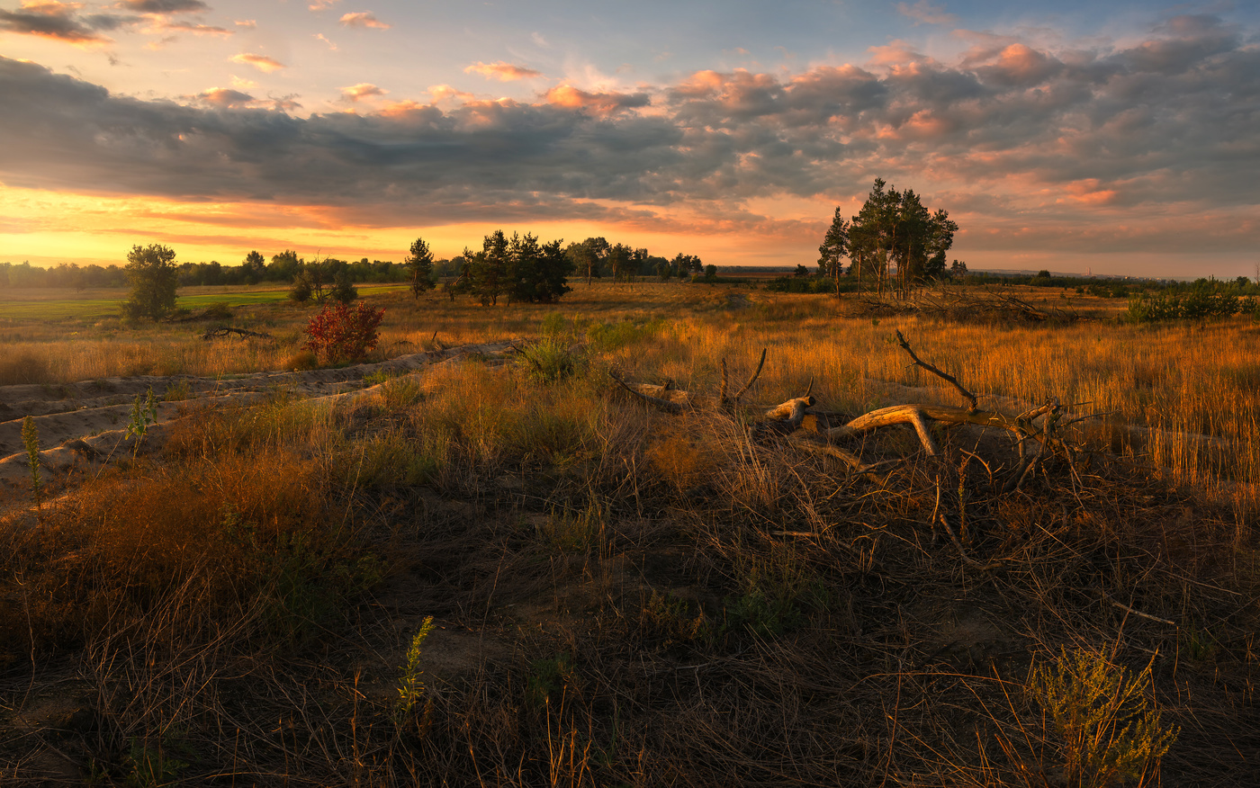 Herbst Morgendämmerung