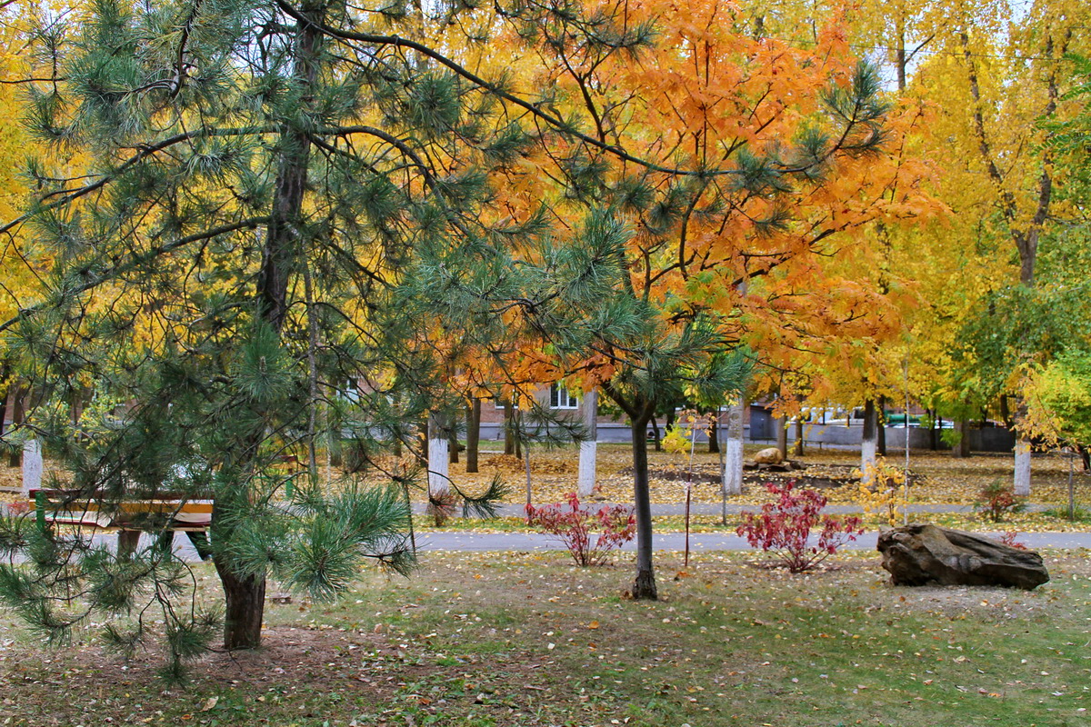 Quiet eindringlichen Fall