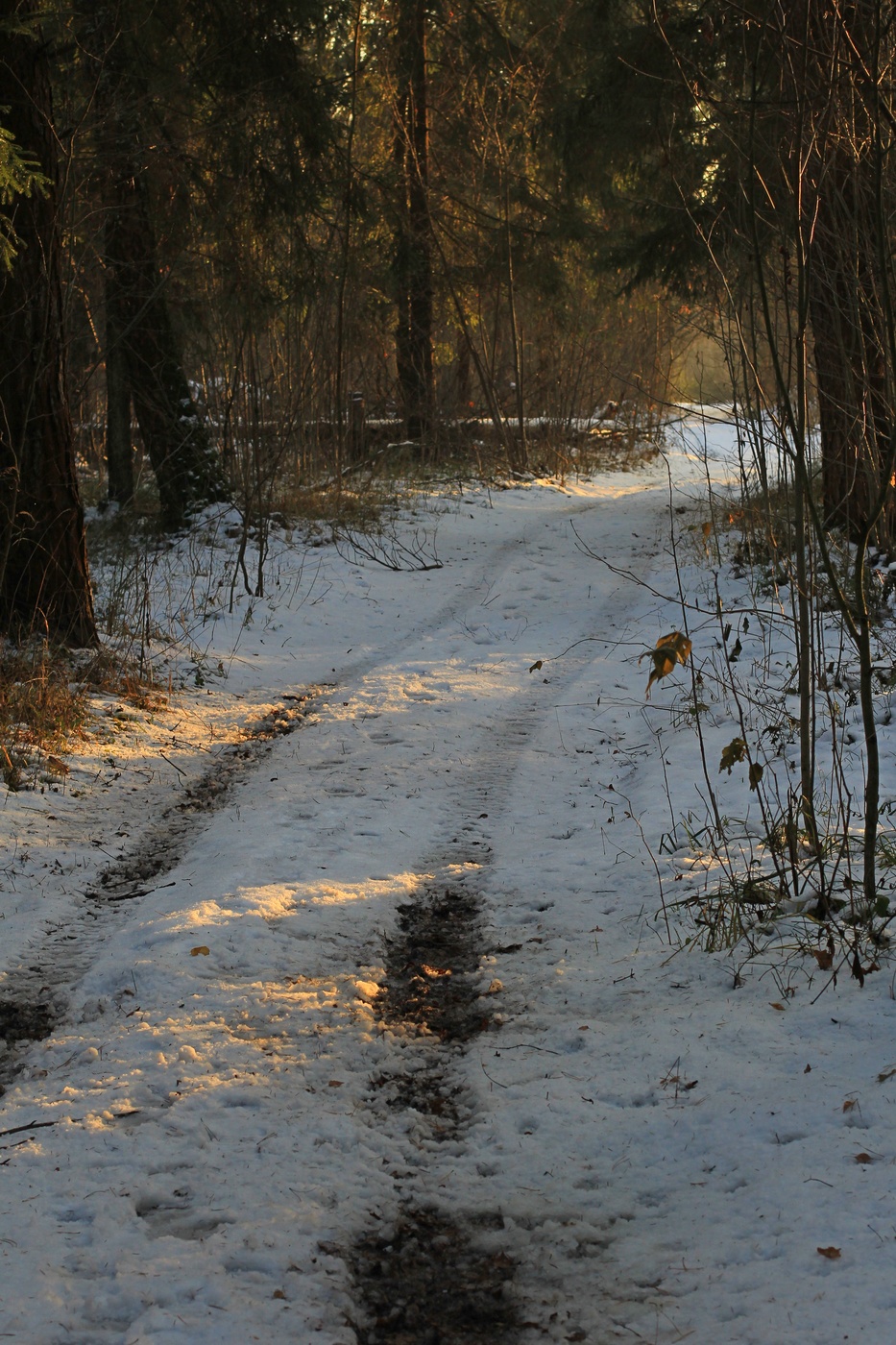 Straße im Winter