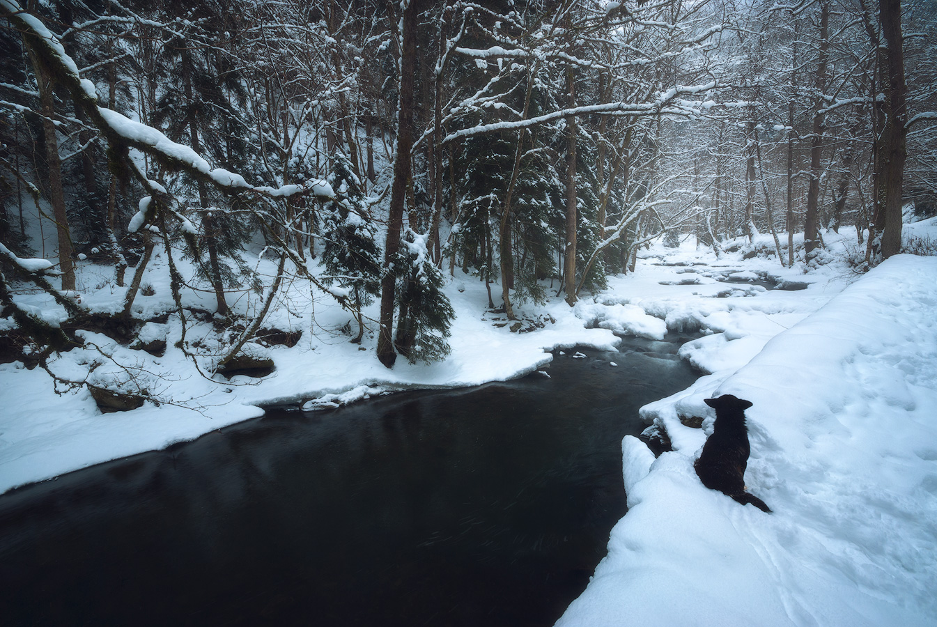 Warten auf den Frühling