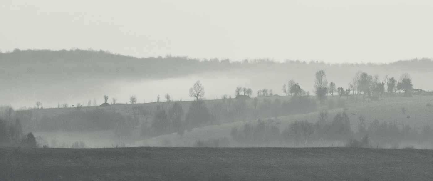 Der eingeschlagene Weg