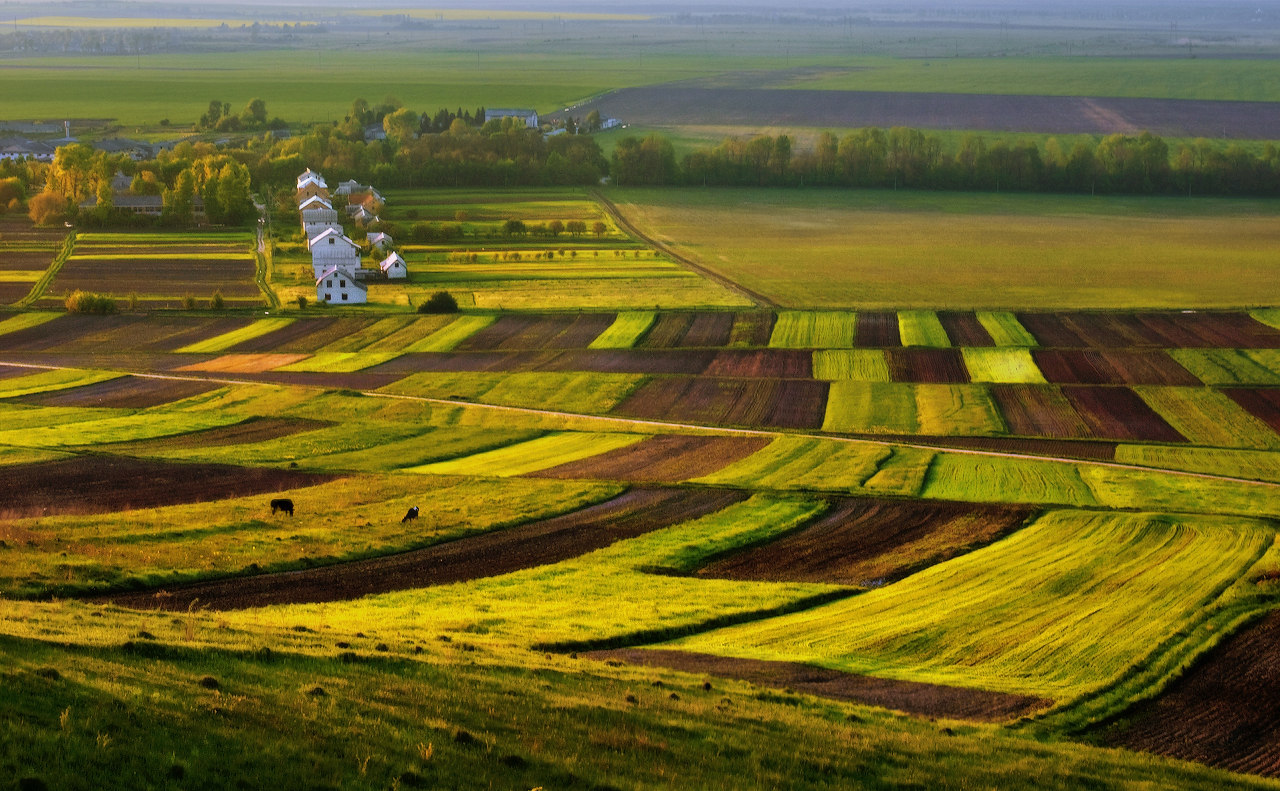 Quadratisch Stimmung