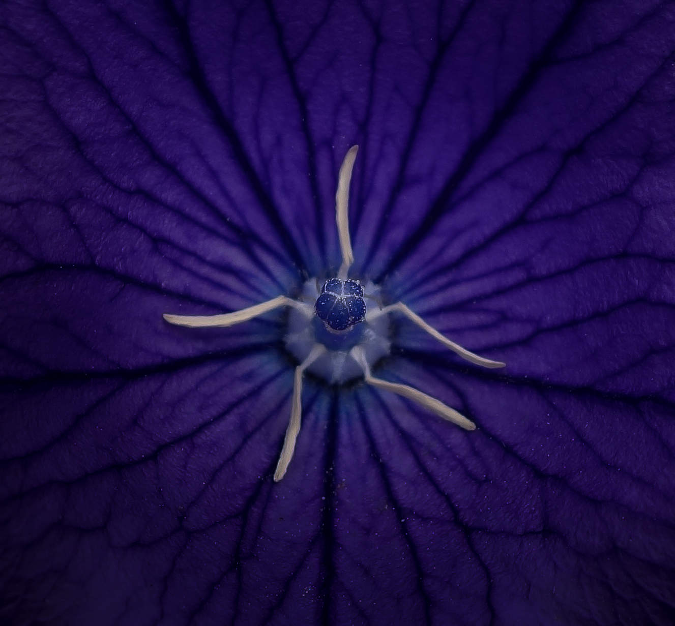 Quadratisch Stimmung