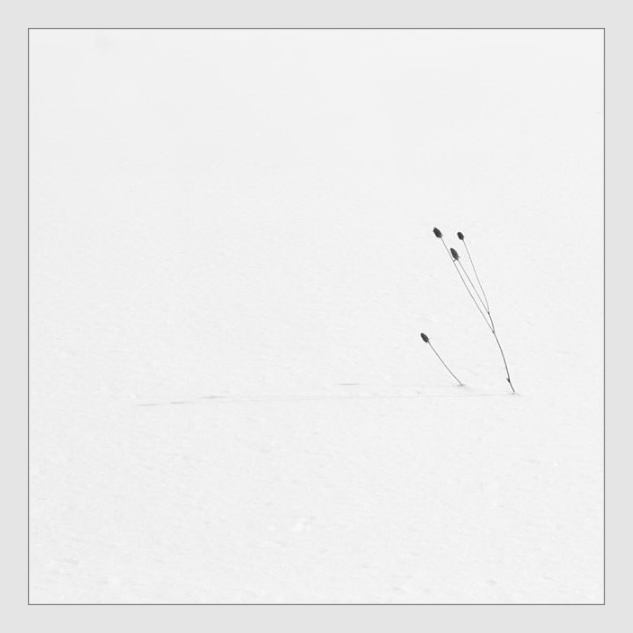 Quadratisch Stimmung