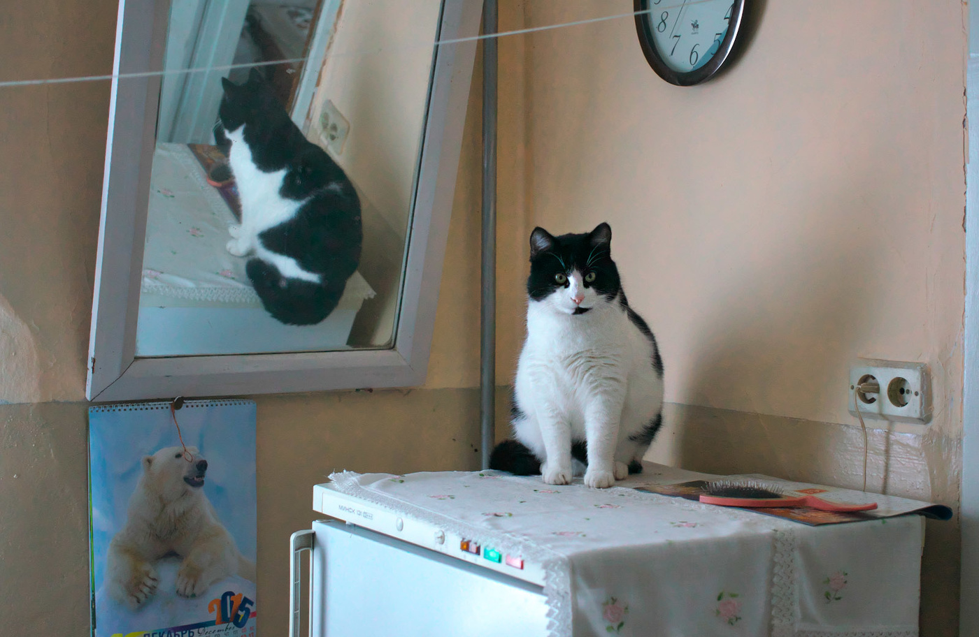 Quadratisch Stimmung