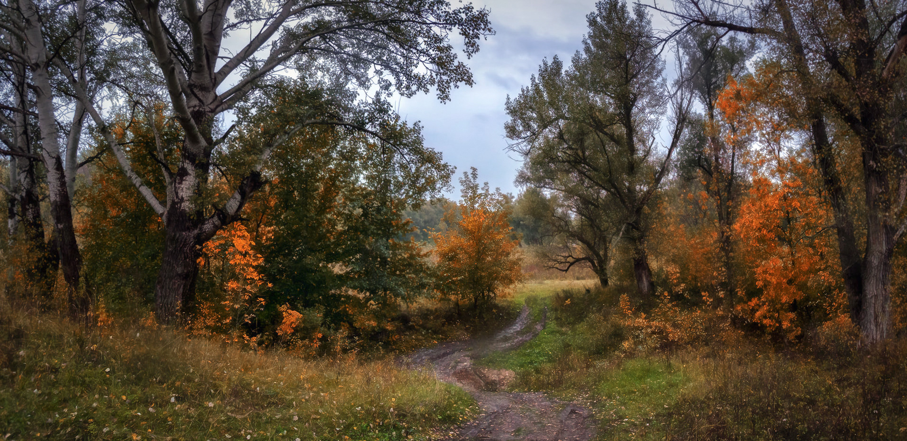 Tales regnerischen Herbst