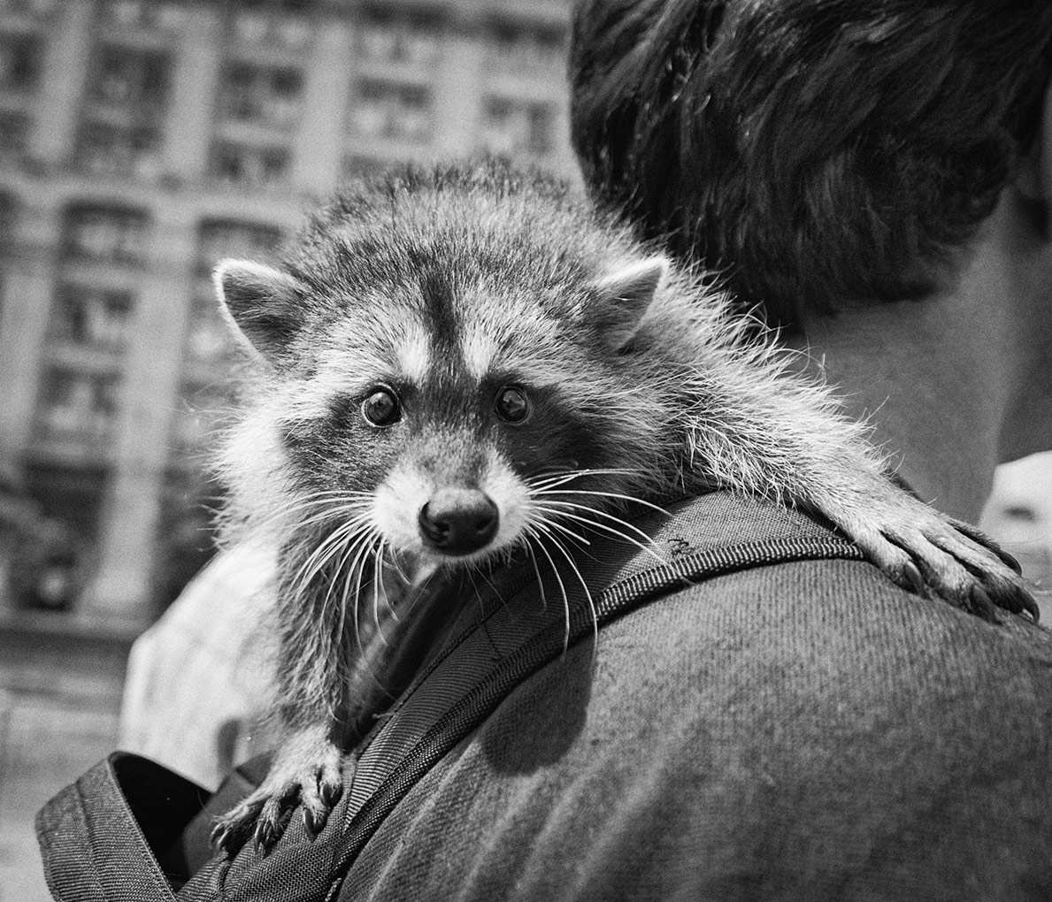 Quadratisch Stimmung