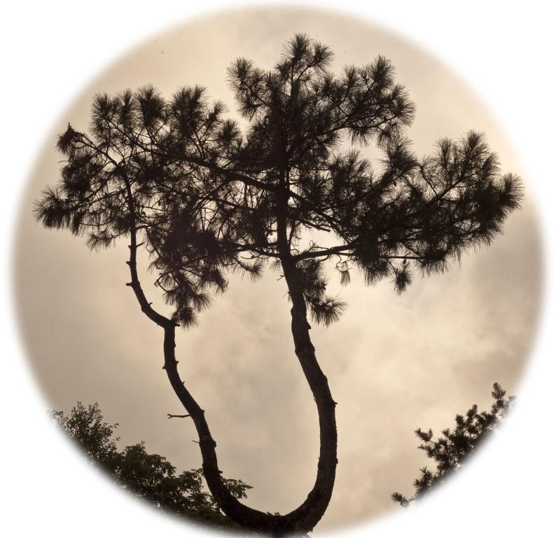 Quadratisch Stimmung