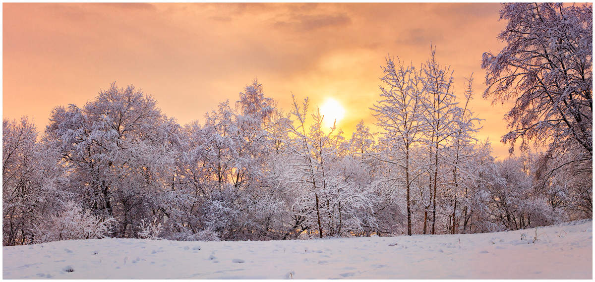 Sonnenuntergang im Winter
