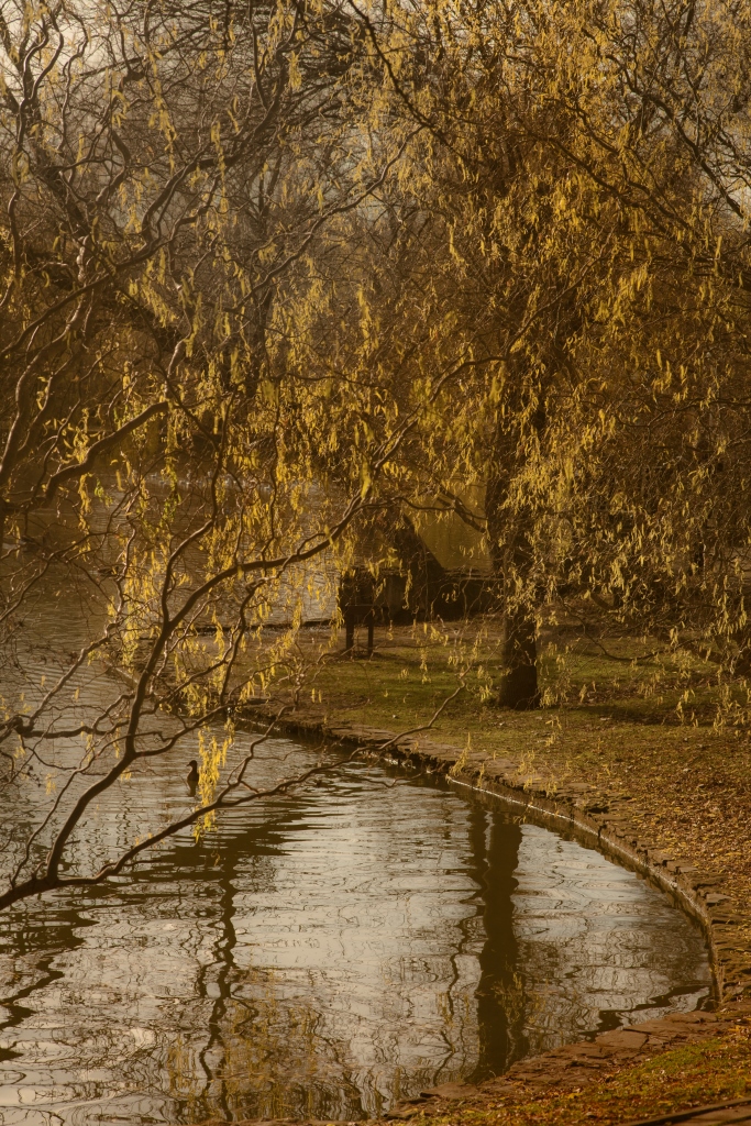 Quadratisch Stimmung