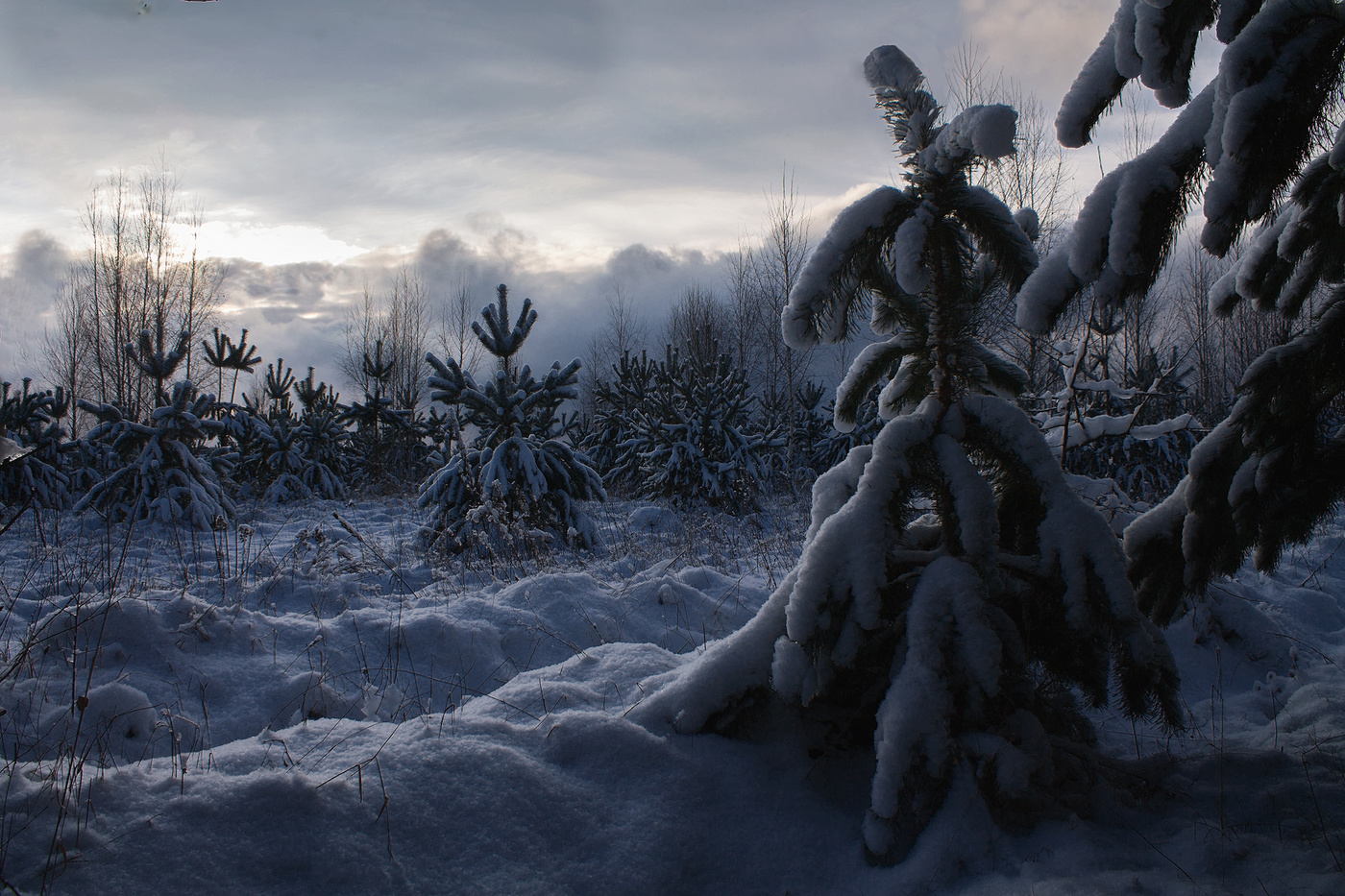 Sonnenuntergang im Winter