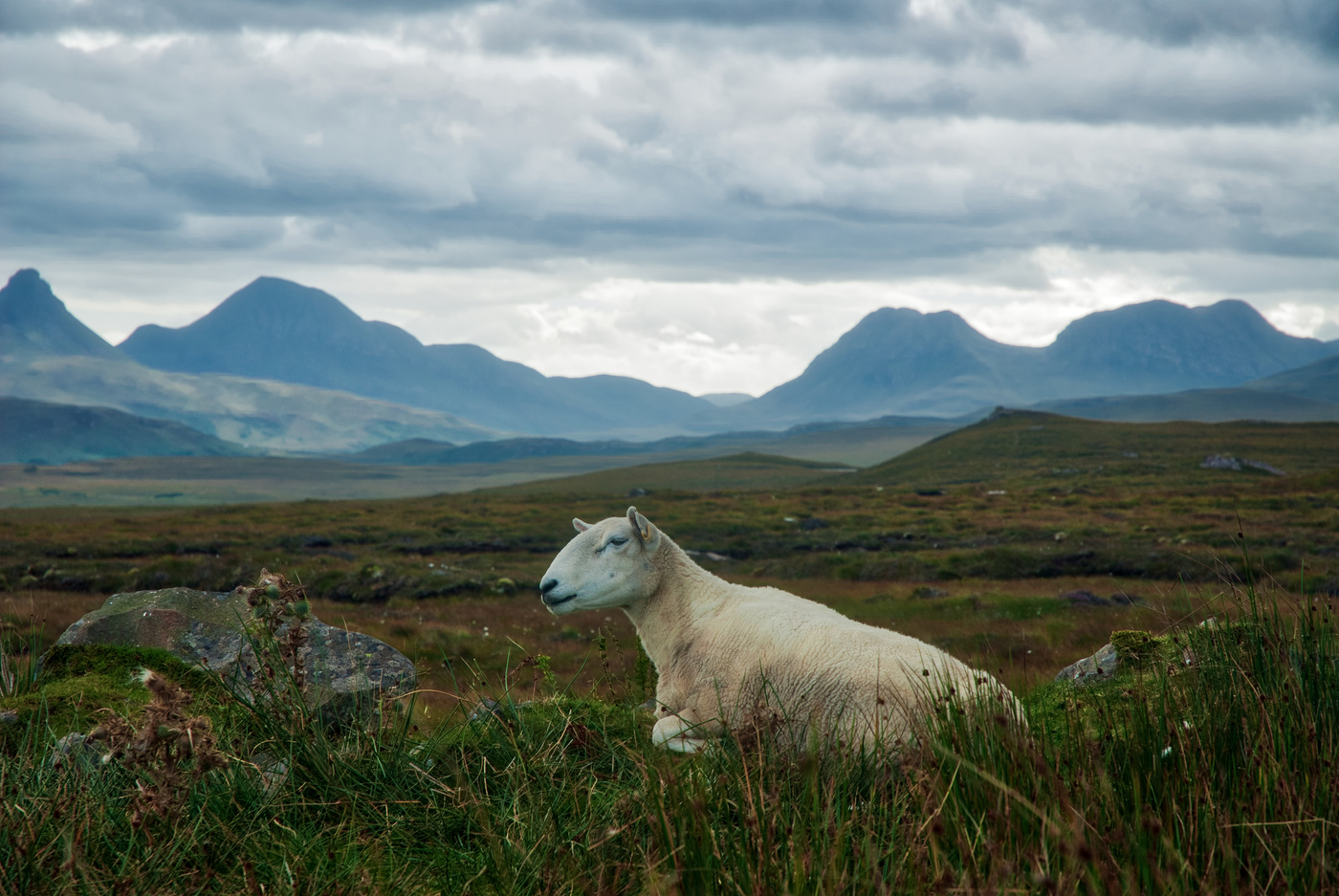Glen Afric - Schottland