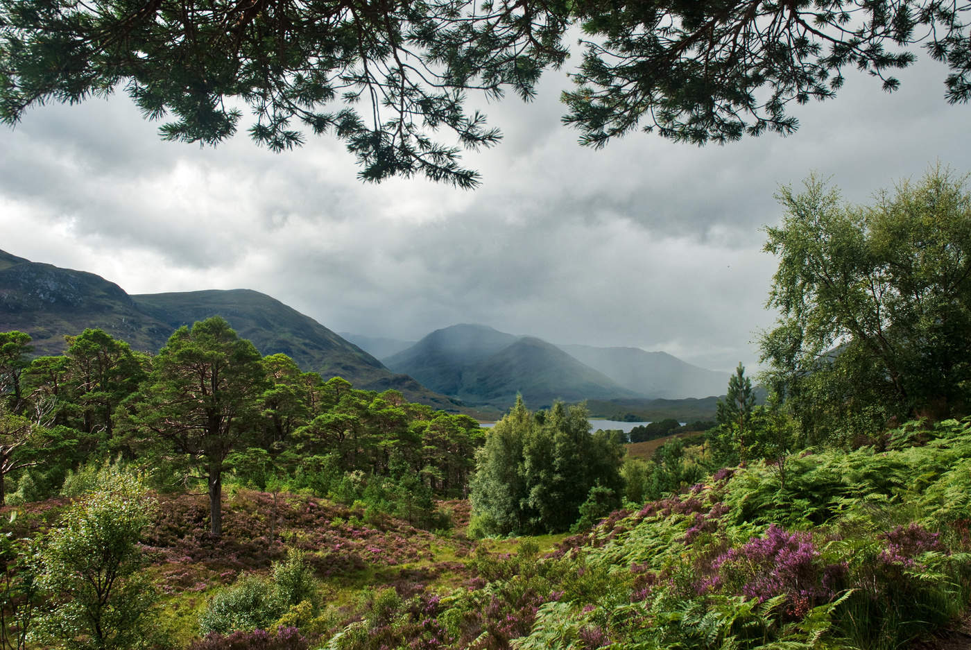 Glen Afric II