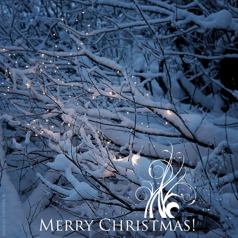 Herzlichen Glückwunsch!