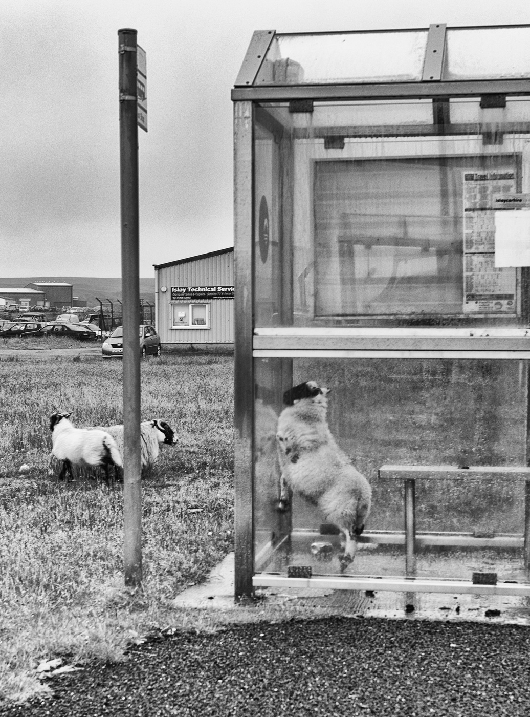 Throes der Schöpfung