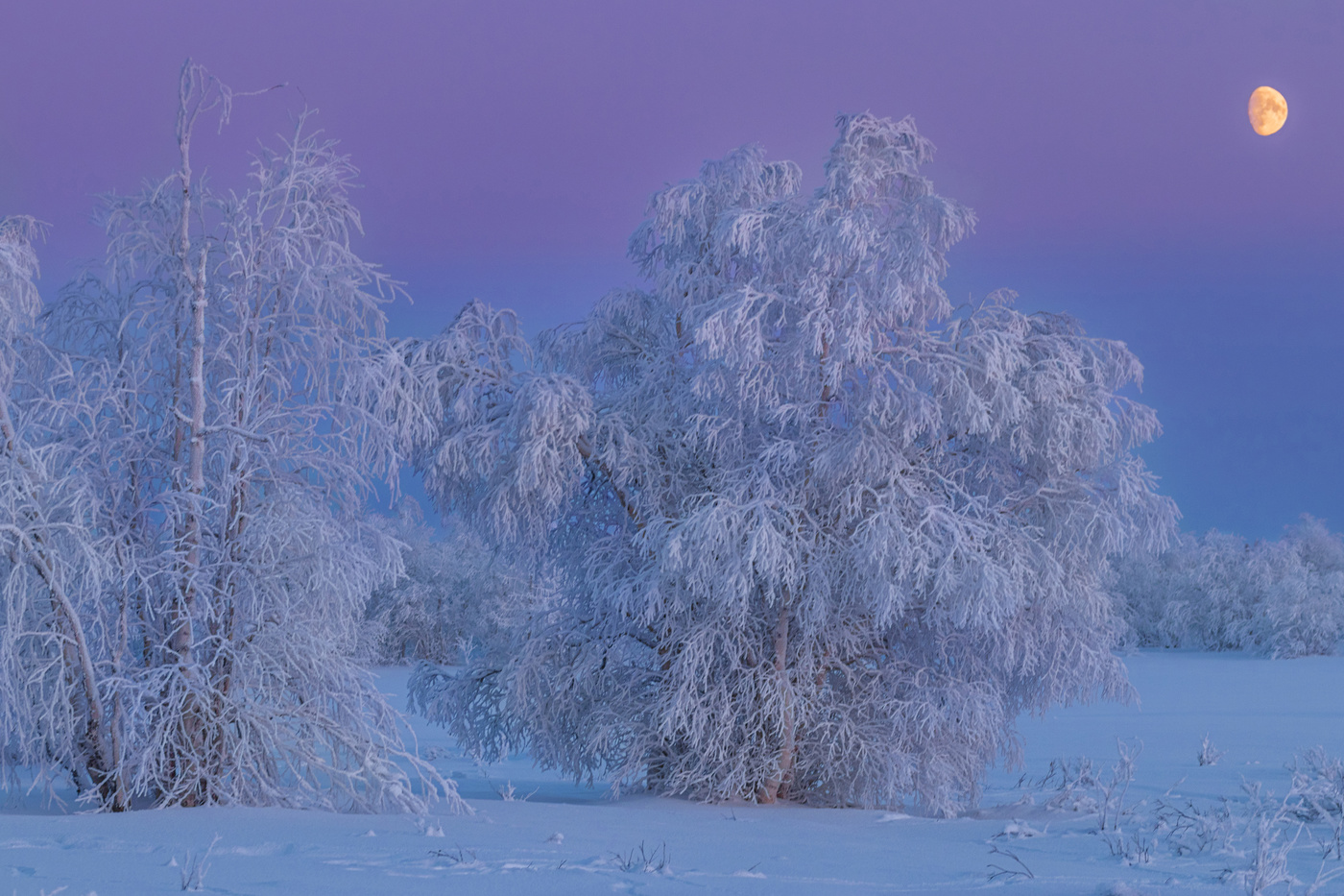 In kalten Gefangenschaft