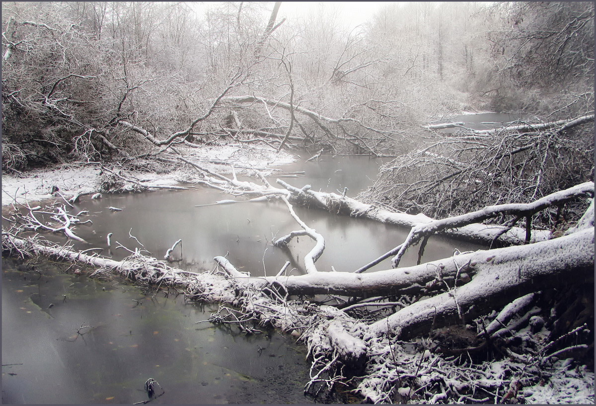 Der erste Schnee ...
