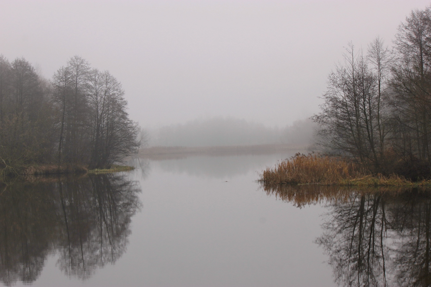 Misty Januar