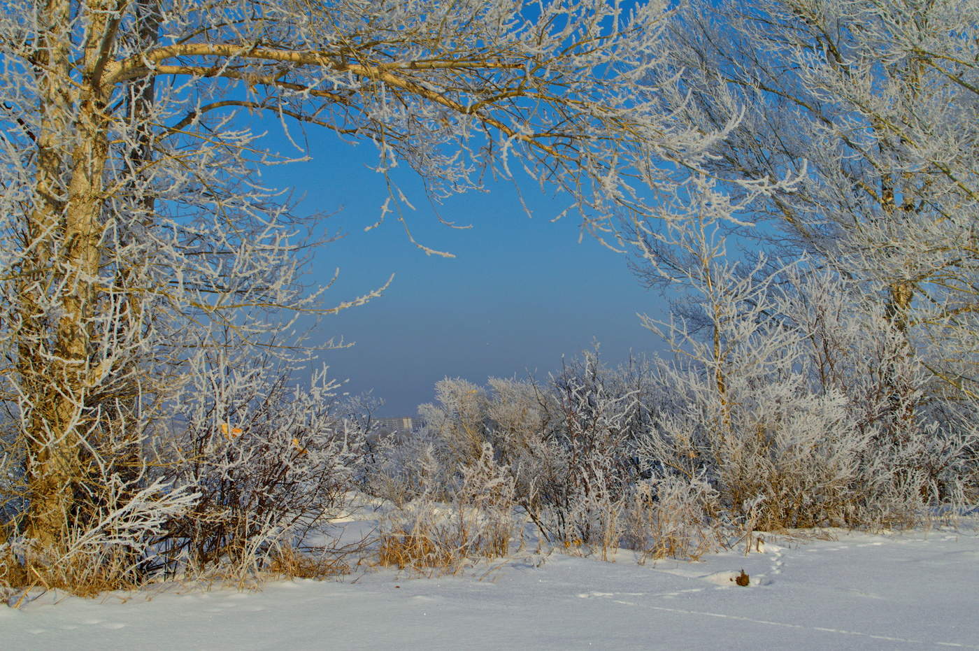 Winterlandschaft