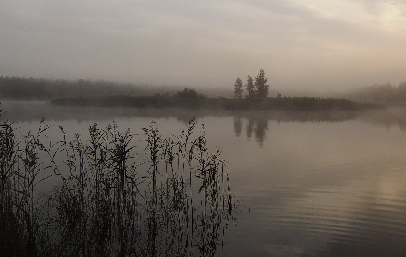 Herbst Morgendämmerung
