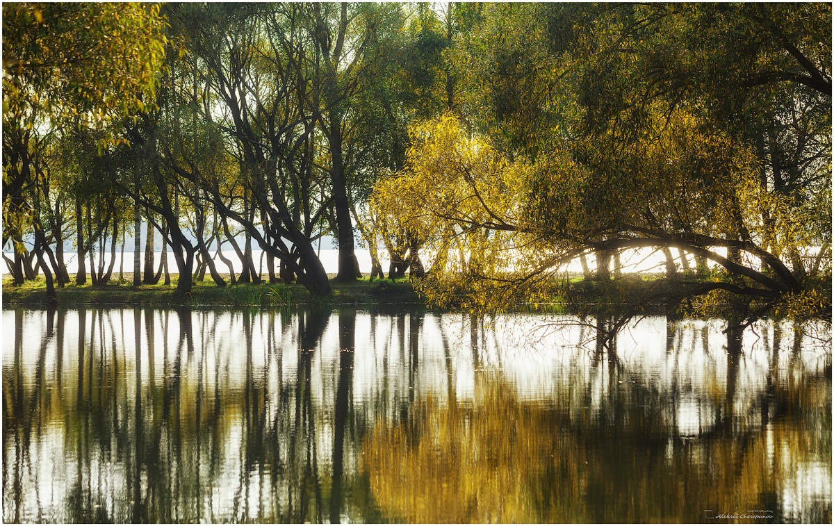 In Erinnerung an die Herbst