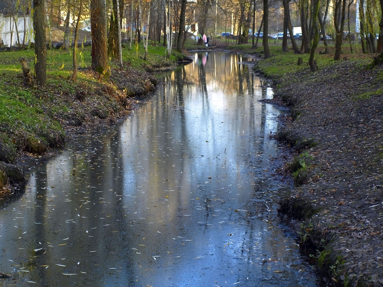 Premonition des Winters