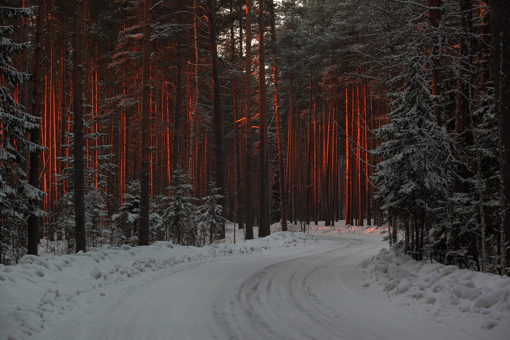 Sonnenuntergang im Winter
