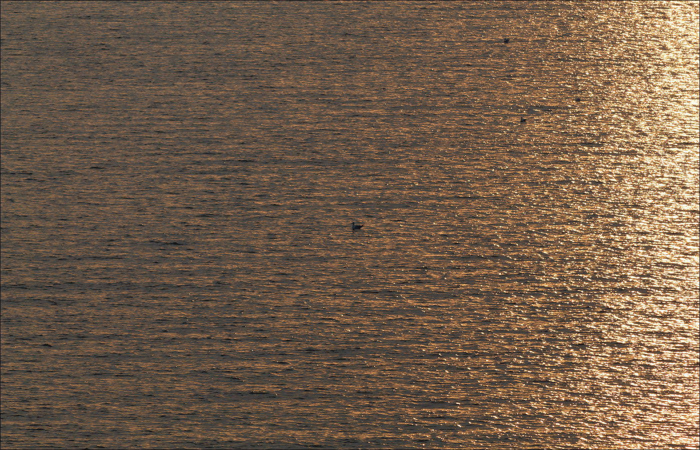 Reflexionen auf dem Wasser