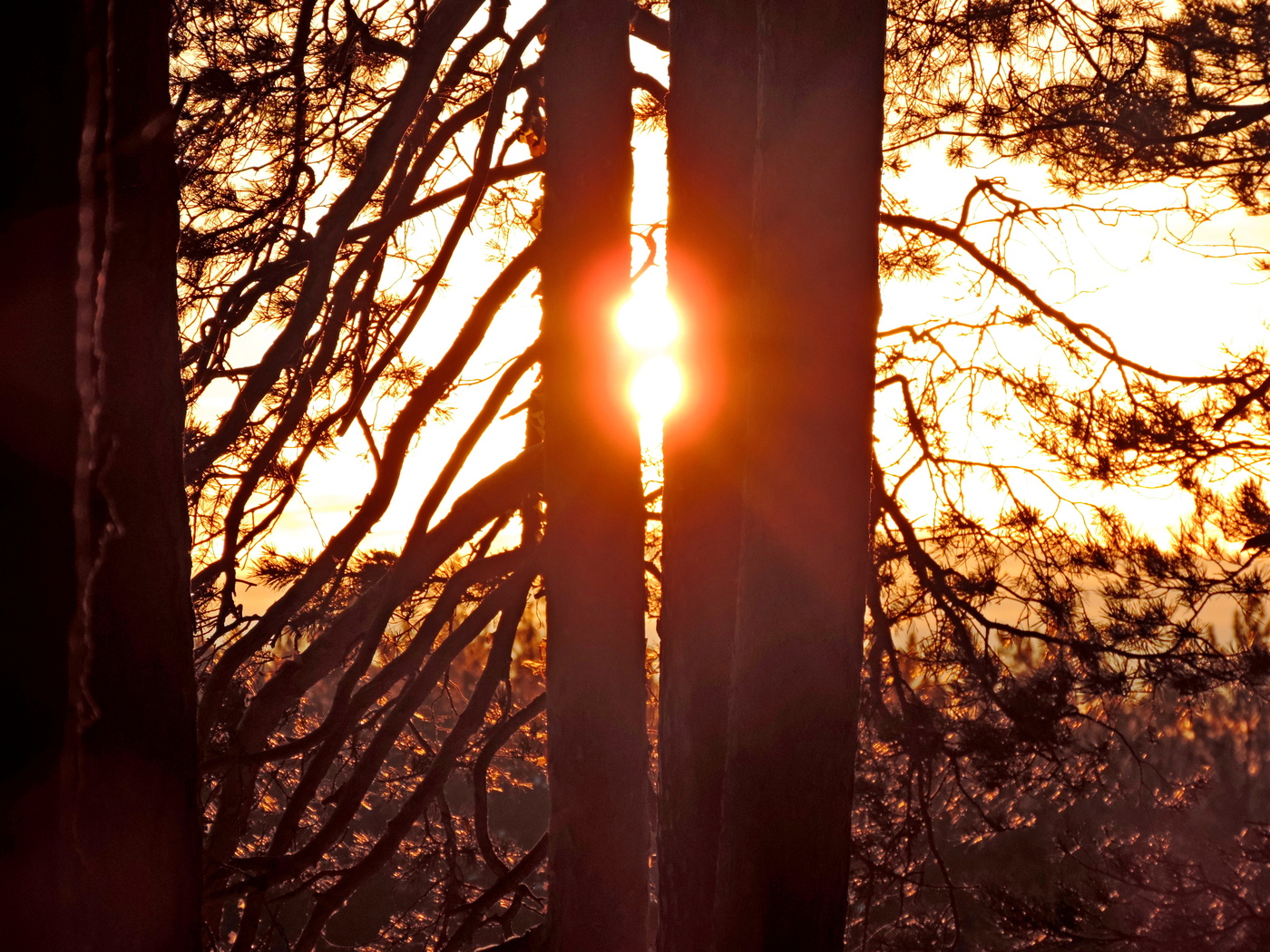 Januar Sonnenuntergang