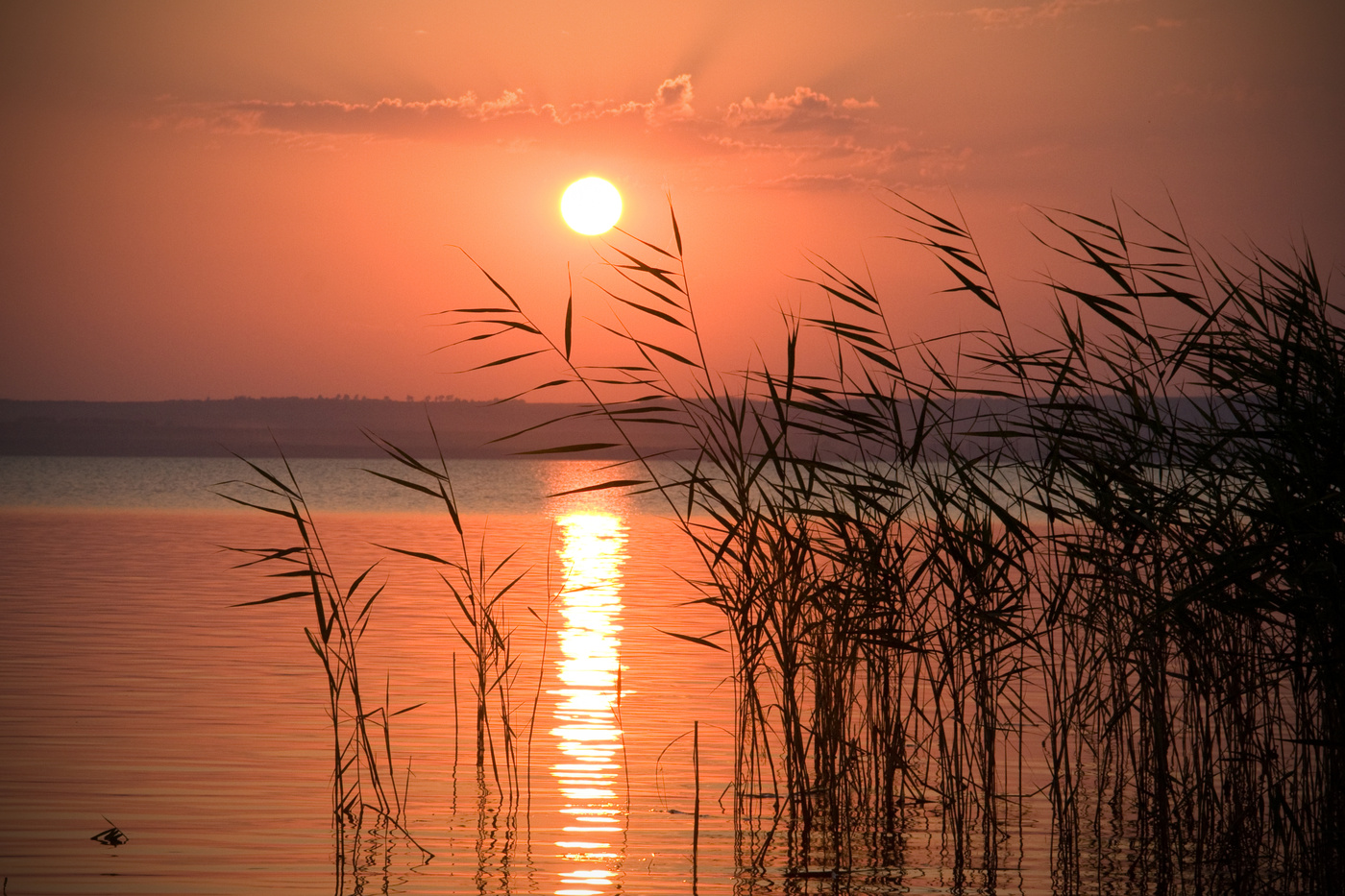 Nur der Sonnenuntergang