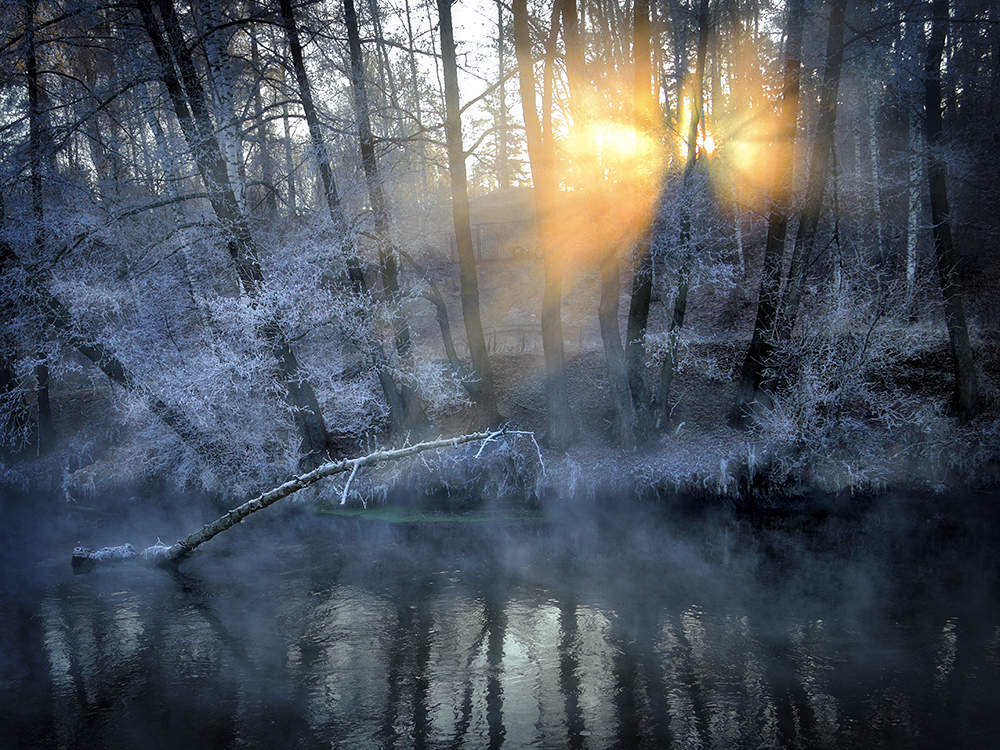 Morgenröte Motte ...