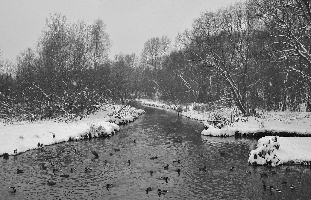 In einer ruhigen Gegend