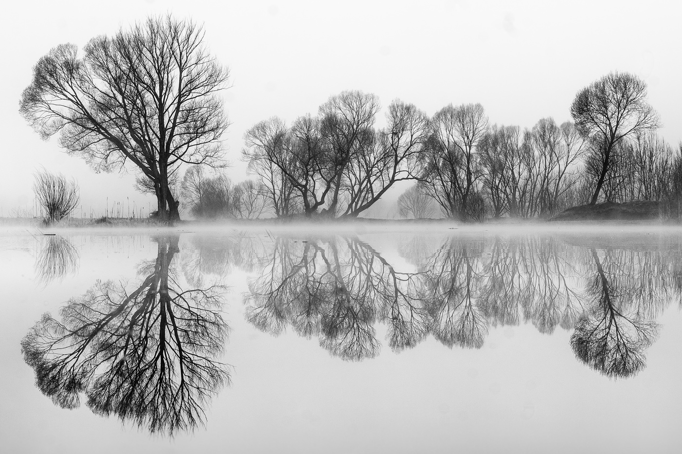Spiegelung in B&W