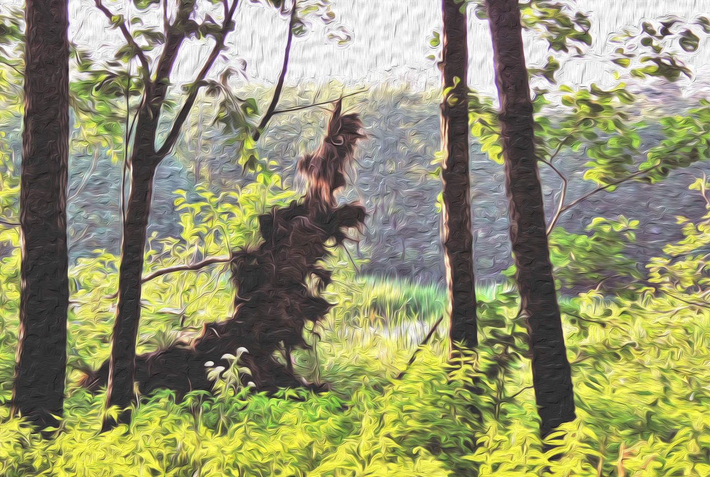 auf unbekannten Pfaden