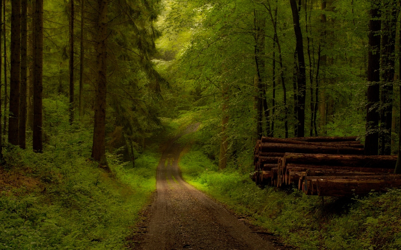 Letzte Tage des Sommers