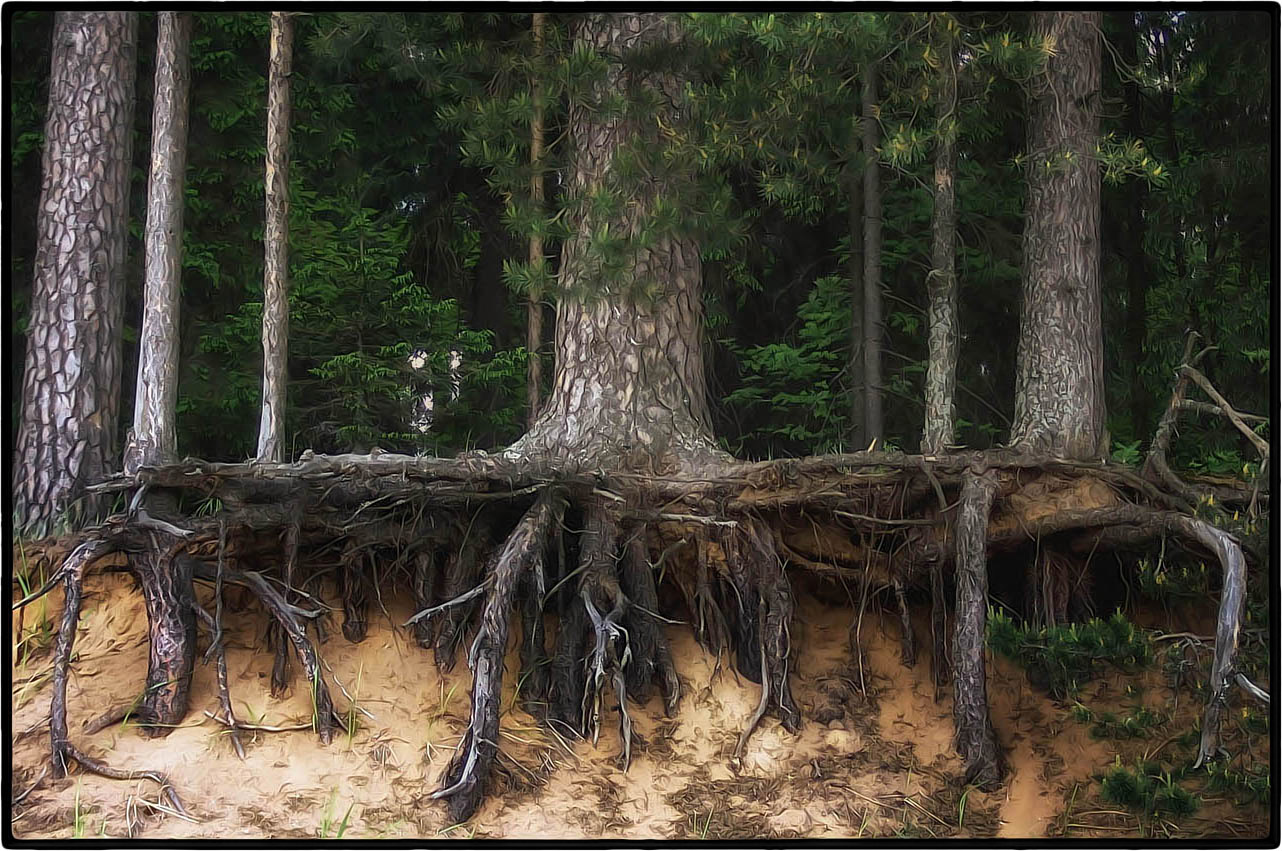 Ich komme zu dir ...